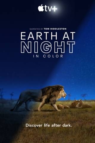 زمین در شب به صورت رنگی / Earth at Night in Color